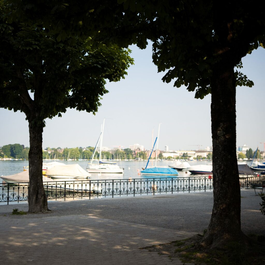 Standort Zürich, Umgebung
